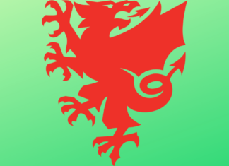 Wales - Euro 2021 - Lineup
