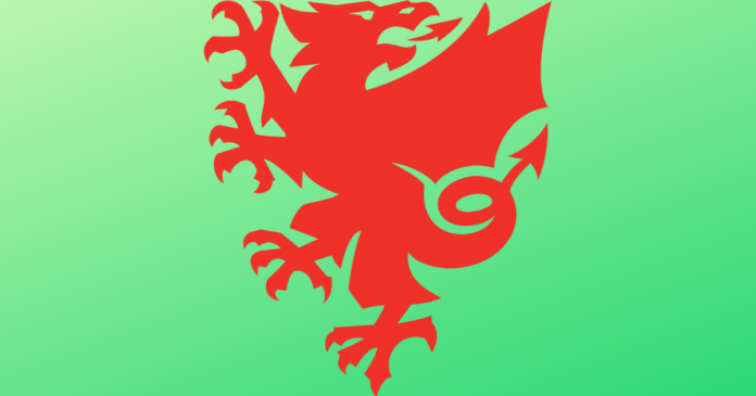 Wales - Euro 2021 - Lineup