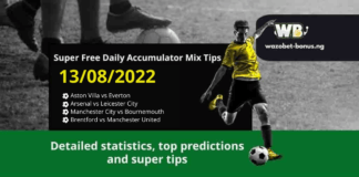 Free Daily Accumulator Tips for the Premier League 13.08.2022.