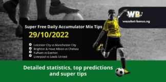 Free Daily Accumulator Tips for the Premier League 29.10.2022.