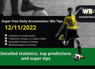 Free Daily Accumulator Tips for the Premier League 12.11.2022.