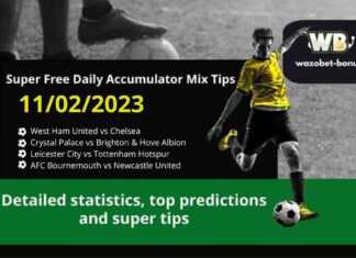 Free Daily Accumulator Tips for Premier League 11.02.2023.